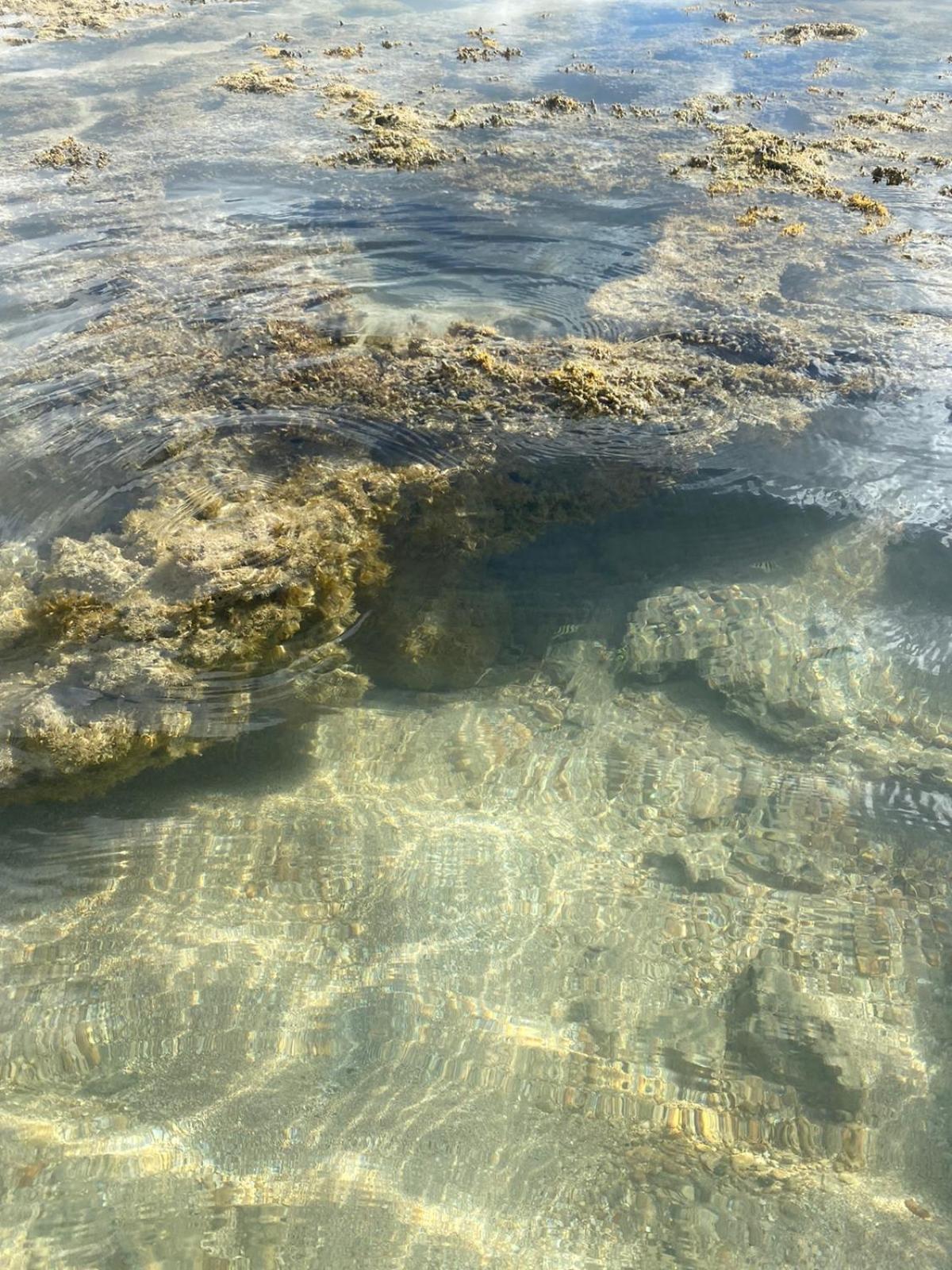 Vilarejo Dos Milagres São Miguel dos Milagres Buitenkant foto